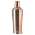 Classic Cocktail Shaker with Jigger Lid H8