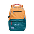 Ellis Backpack 20L N1
