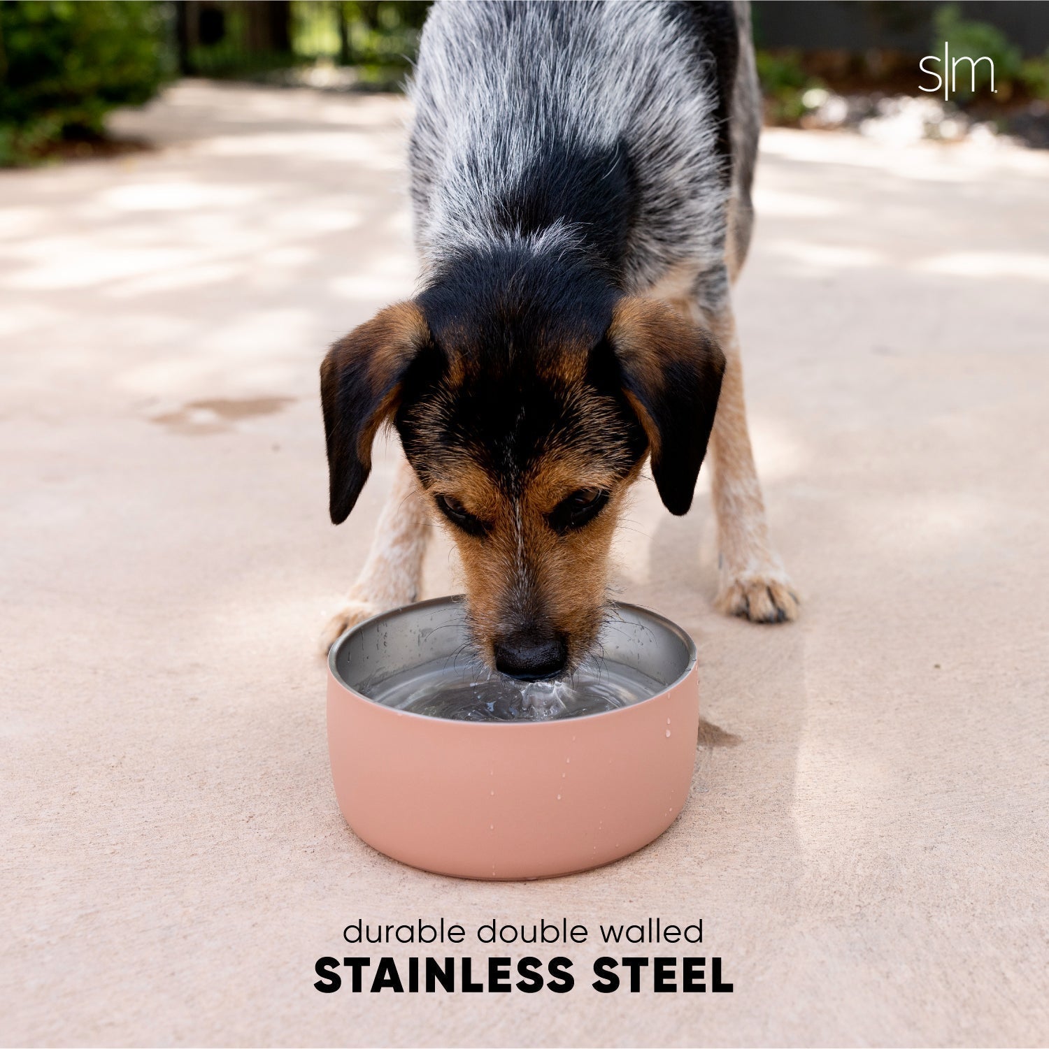 Bentley Pet Bowl X9