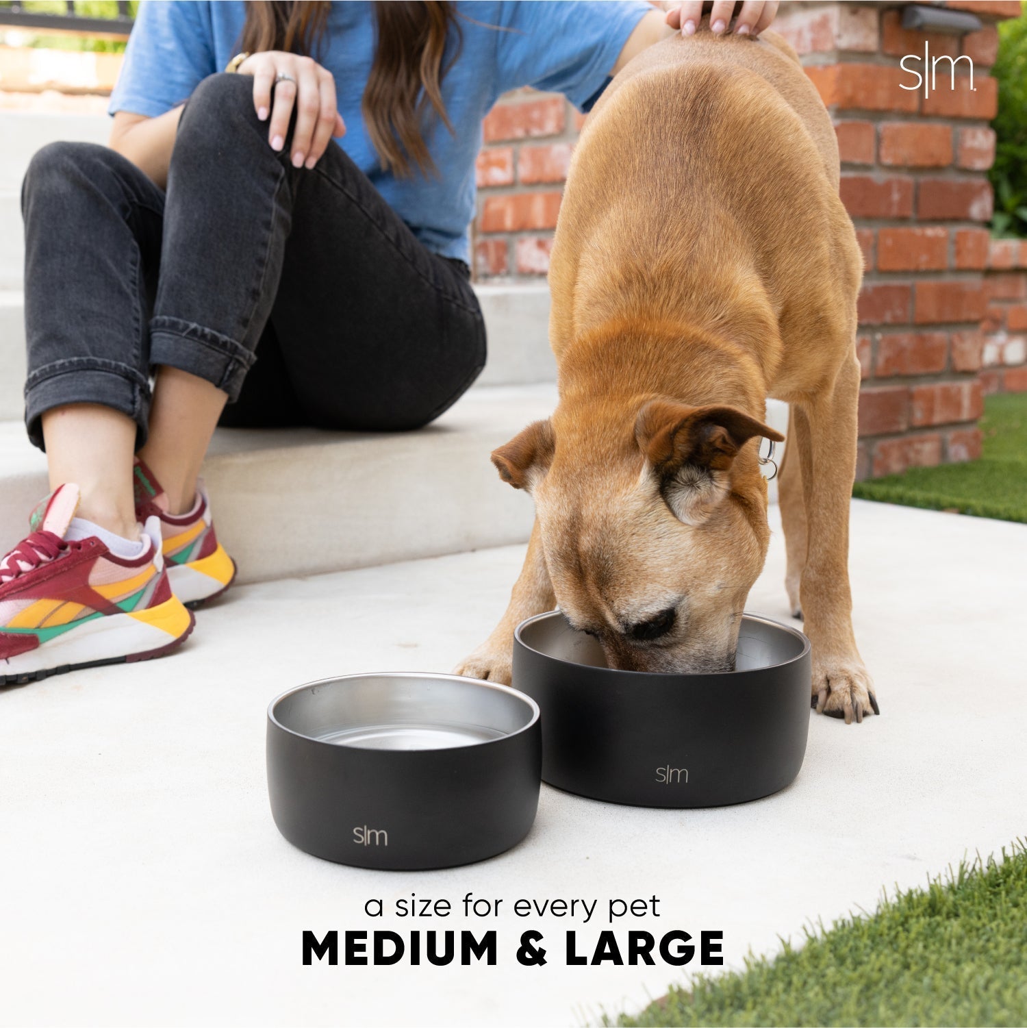 Bentley Pet Bowl Q0